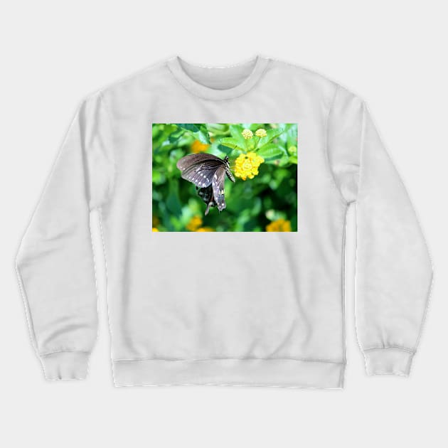 Butterfly Side View Crewneck Sweatshirt by Cynthia48